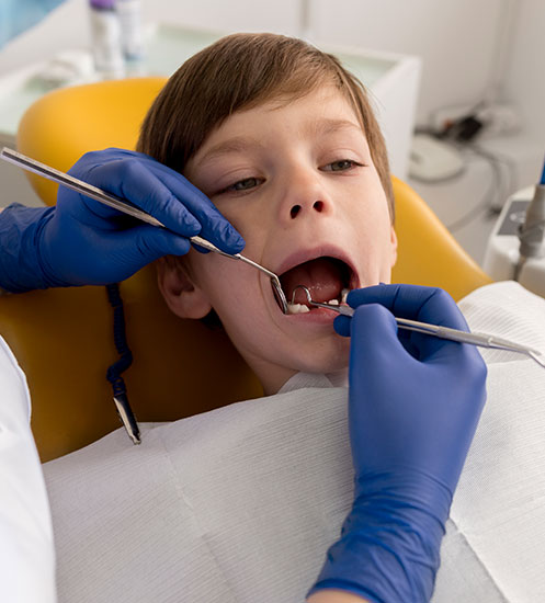 odontoped